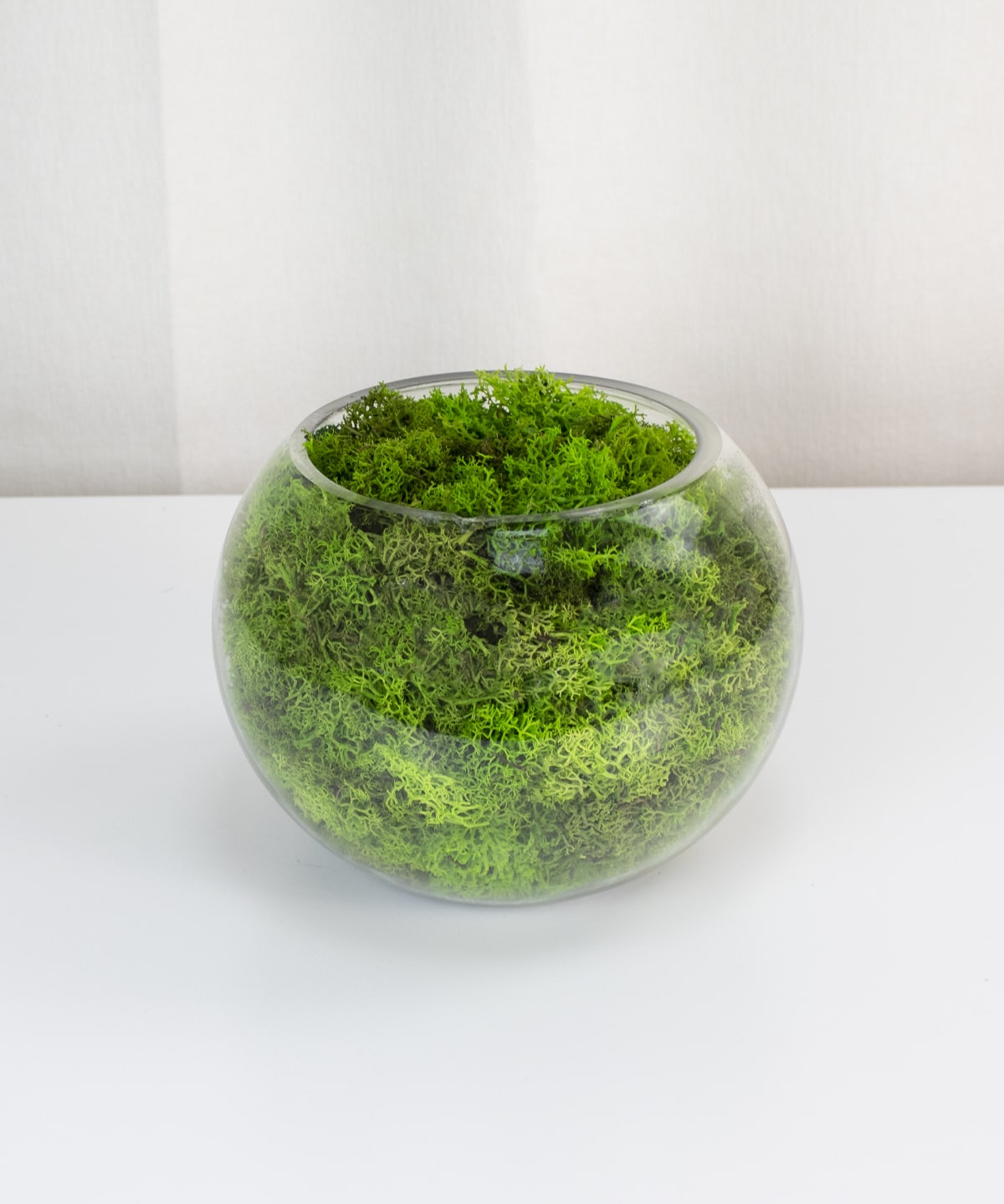Preserved Moss Glass Bowl