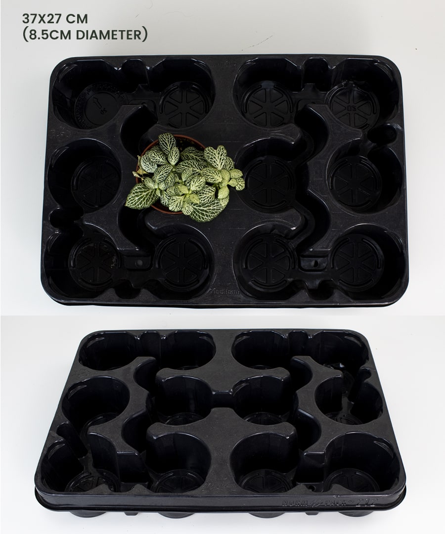 Plant Holder Tray (Used)