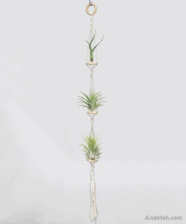 macrame plant hanger mini 3 Layer Macrame Mini Plant Hanger – Nabteh.com
