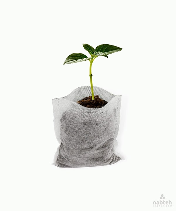 plastic nursery bags for plants Plant Nursery Mini Bags (25PCS) – Nabteh.com