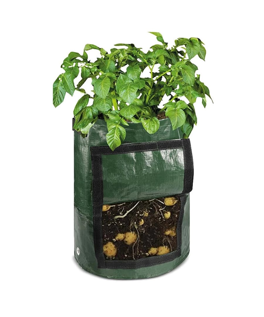 small grow bags for plants Small Vegetables Grow Bag – Nabteh.com