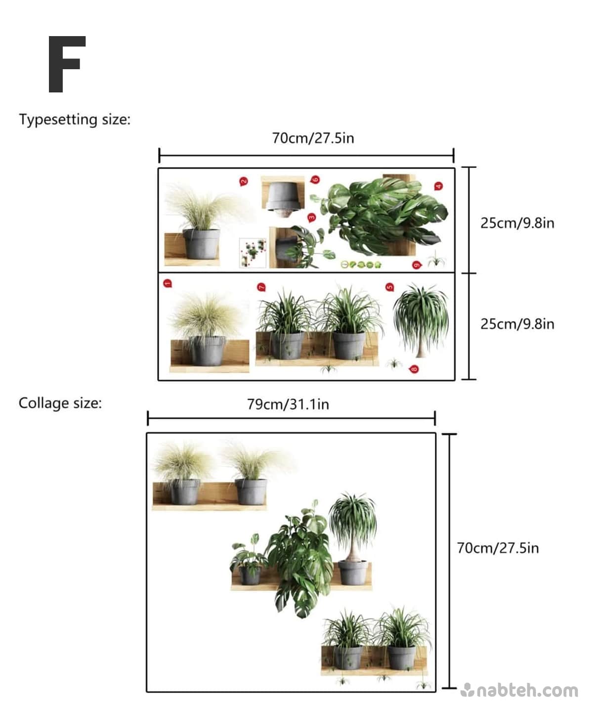 Print Wall Sticker Plants
