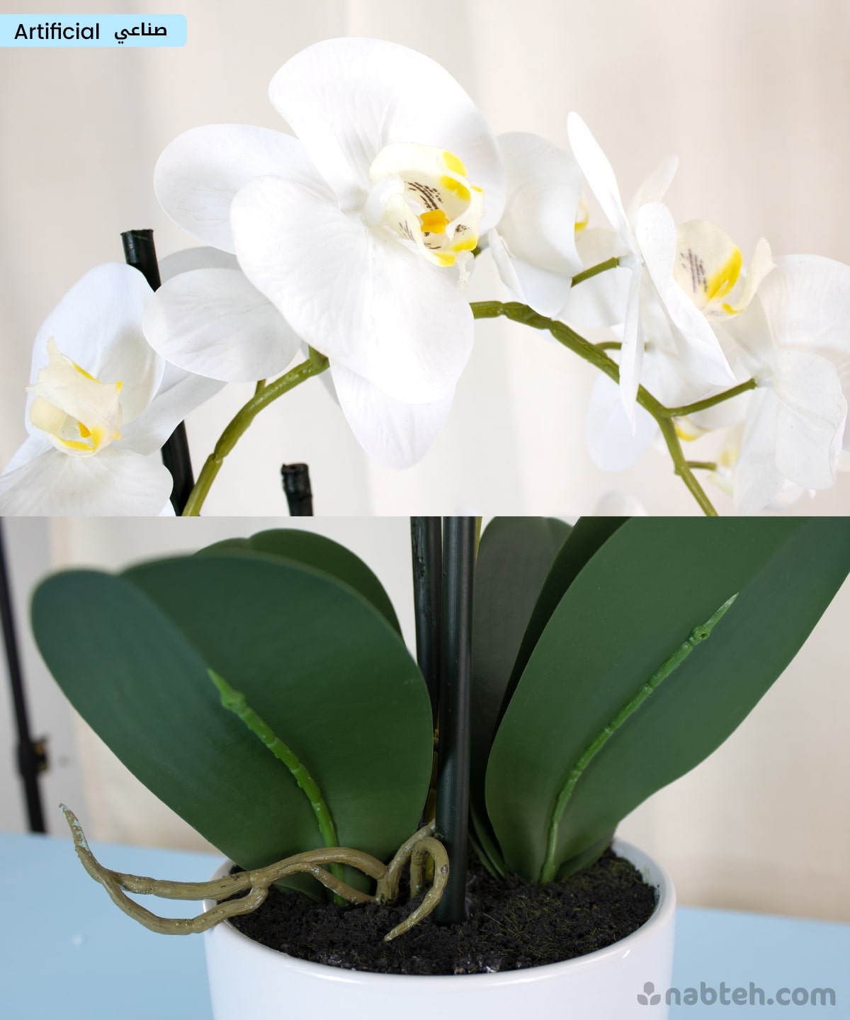 Artificial White Orchid