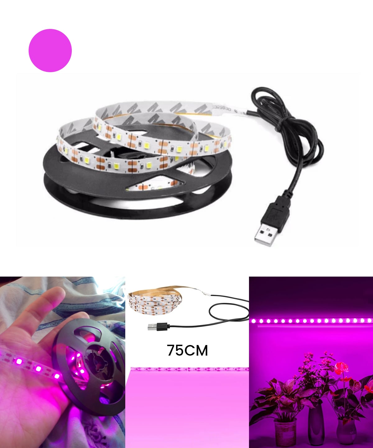 Multicolor LED Strip Light