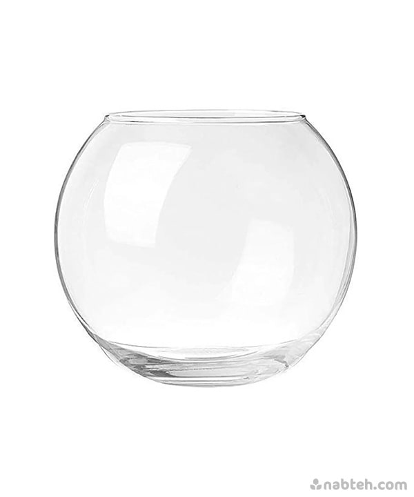 X-Small Glass Bowel Vase