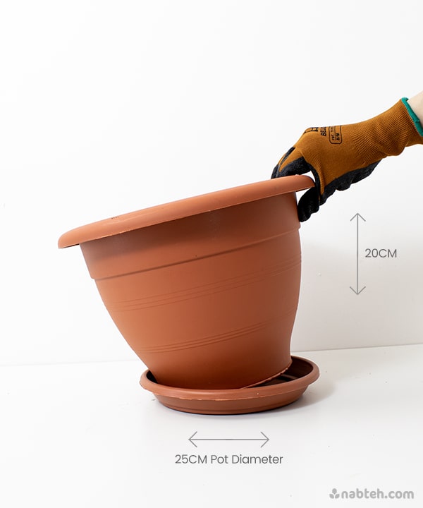 Brown Plastic Pot With Saucer