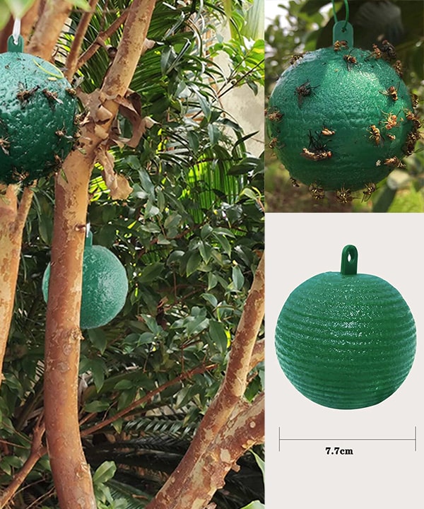 hanging fly trap plant Hanging Fly Trap Sticky Ball – Nabteh.com