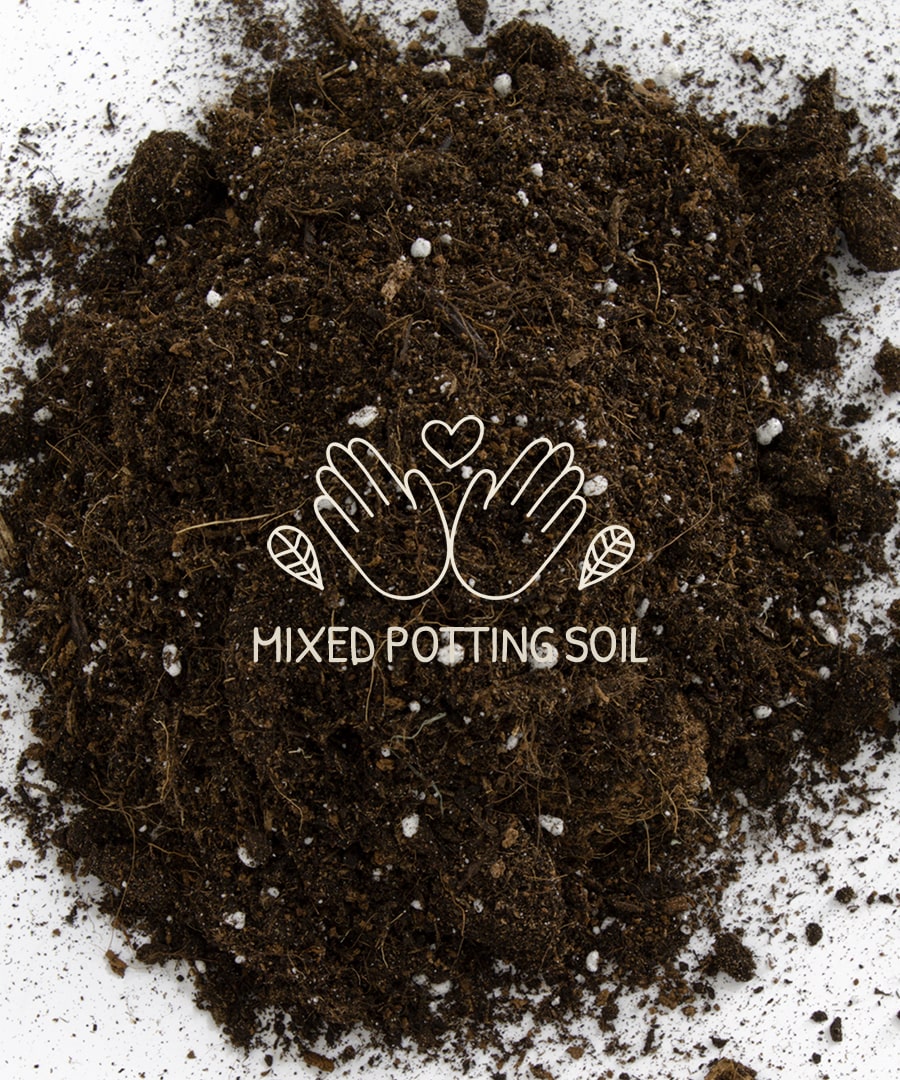 mix potting soil with dirt Potting Mix Soil – Nabteh.com