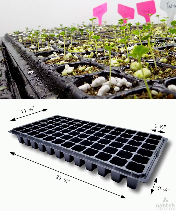Starting Trays for Planting Seedlings, Propagation, Germination Plugs